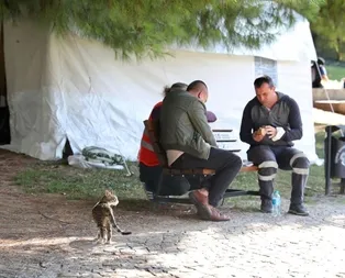 İzmirde deprem sonrası yaralar sarılıyor