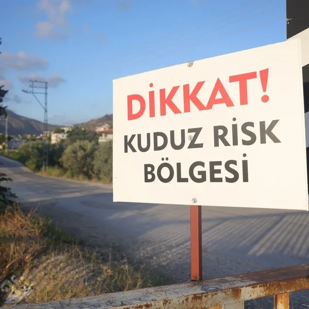 Hatay’da 4 mahallede kuduz karantinası