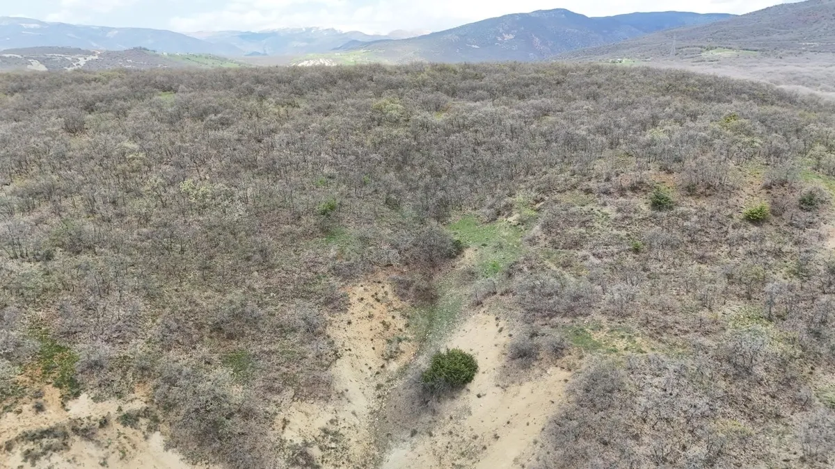 gulistan-dokunun-mezari-40-kilometrelik-alanda-arandi-1777037342274.jpeg Gülistan Doku soruşturmasında 17 noktada 40 kilometrelik alan tarandı-4