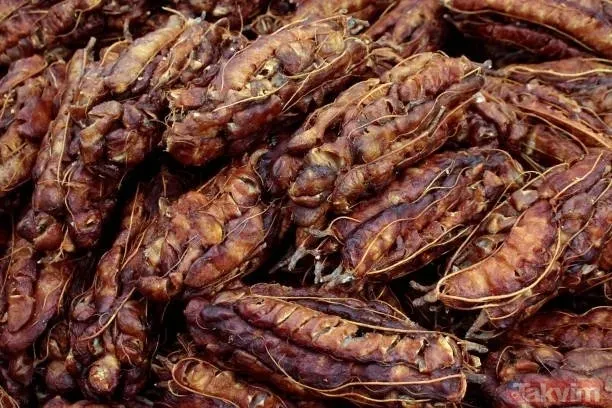 850-yil-evvelden-ramazan-recetesi-16-saat-tok-tutan-besinler-ibn-i-sinanin-muhtesem-onerisi-29-gun-rahatlik-ve-1710179880181.jpeg İbn-i Sina'nın bu önerisi 29 gün rahat ettiriyor: 850 yıl önceden 16 saat tok tutan Ramazan reçetesi!-2