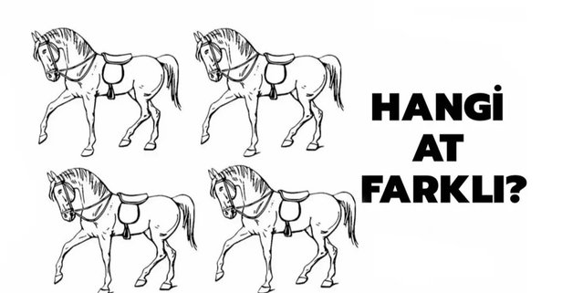 Beyninizi test edin: 4 at içinde farklı atı bulduysan hafızan zirvelerde çıkıyor