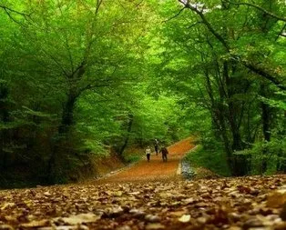 İstanbul’un en iyi ormanları