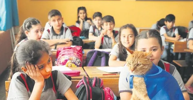 Öğrencilerden kedi Tombi’ye duygusal veda