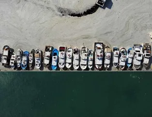 Müsilaj temizlik çalışmaları etkisini gösterdi! Marmara Denizi'nin güney kıyılarında dikkat çeken değişim