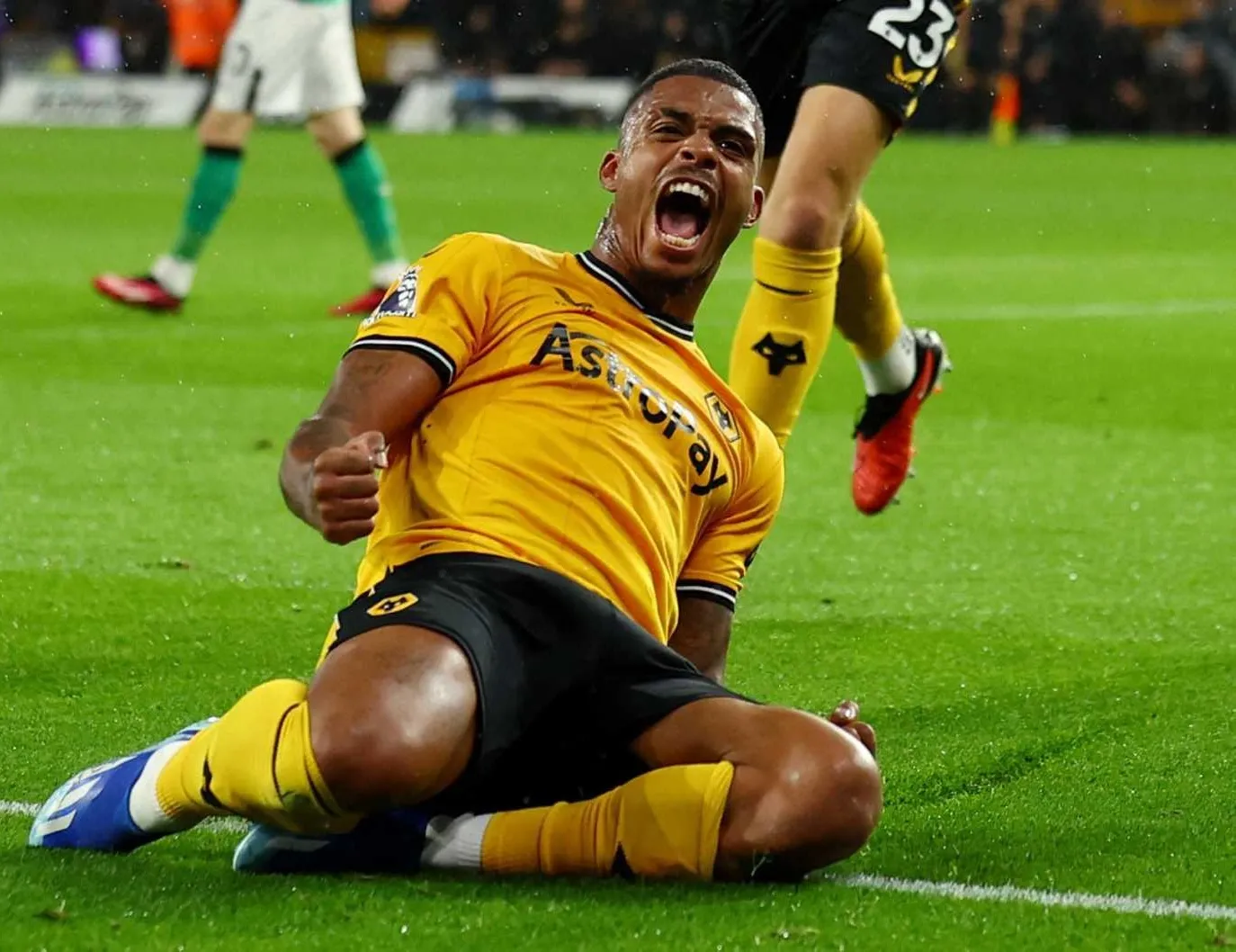 Lemina yuvaya dönüyor