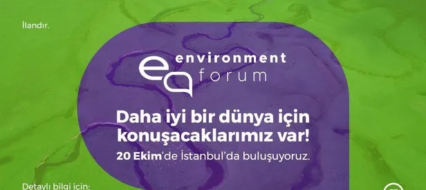 Environment
