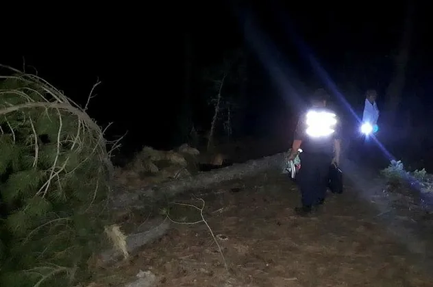 Kütahya'da feci olay! Kestiği ağaç sonu oldu