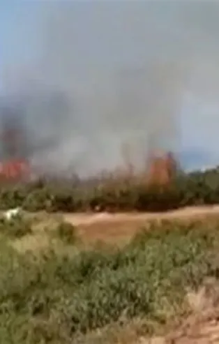 İzmir'de makilik yangını