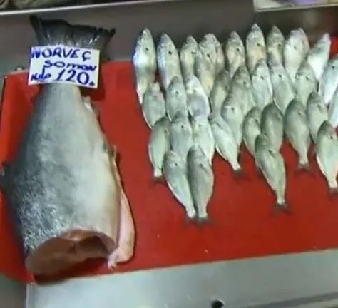 balik-fiyatlari-ne-kadar-oldu-guncel-balik-fiyatlari-2021-levrek-hamsi-istavrit-somon-mezgit-cinekop-cupra-alabalik-1638502768674.jpg Balık fiyatları ne kadar oldu? Güncel balık fiyatları 2021 Levrek, hamsi, istavrit, somon, mezgit, çinekop, çupra, alabalık...-3