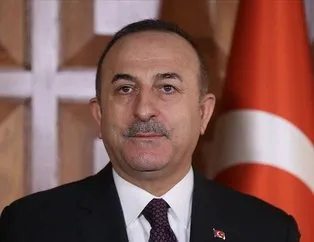 Dışişleri Bakanı Çavuşoğlu, Hitti ile görüştü