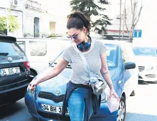 40 kediye bakıyorum