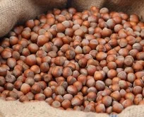 Rekabet Kurumu’ndan fındık fırsatçısı Ferrero’ya tepki: Piyasa düzeni manipülasyona teslim edilmez