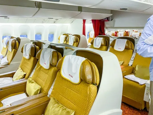 yok-artik-kopegi-icin-ucagin-business-class-bolumundeki-tum-koltuklari-satin-aldi-1632216526531.jpg Yok artık! Köpeği için uçağın business class bölümündeki tüm koltukları satın aldı-2
