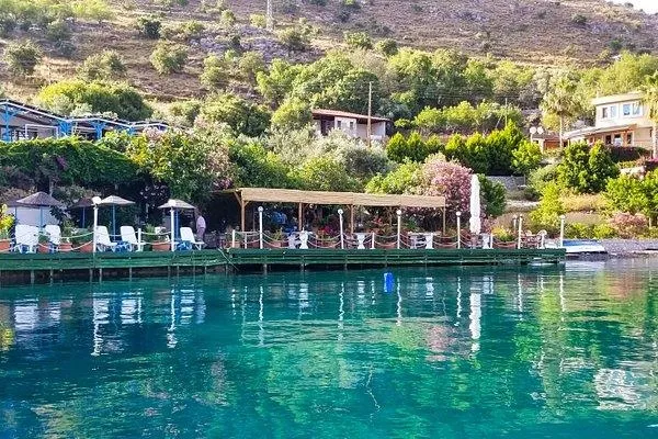 bozburundaki-bir-mekanin-favori-yemegi-olan-koy-patatesinin-bu-sezondaki-fiyati-alay-konusu-oldu-1656273989004.jpeg Bozburun'daki bir mekanın favori yemeği olan ‘Köy Patatesi’nin' bu sezondaki fiyatı alay konusu oldu-2