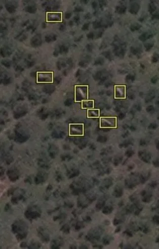 Bilim insanları filleri uzaydan sayabilen teknoloji geliştirildi