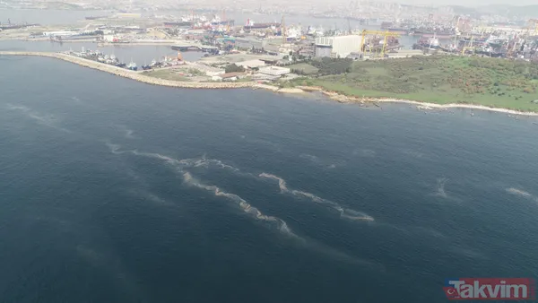 Müsilaj kabusu geri döndü! İstanbul'da müsilaj her geçen dakika artıyor - 4