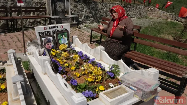 Şehit Eren Bülbül'ün annesinden yürek yakan sözler: Harçlığı olmadığı için bana çiçek alıp getiremezdi ormandan toplardı - 4