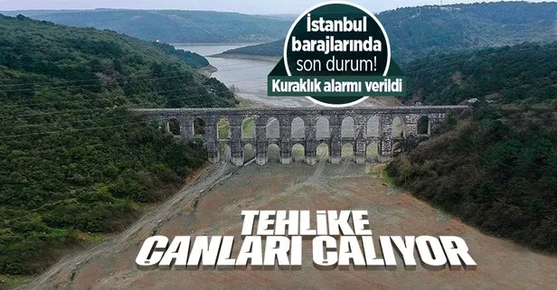 İstanbul’a su taşıyan barajlarda büyük tehlike! Barajlar alarm veriyor | Barajların doluluk oranı