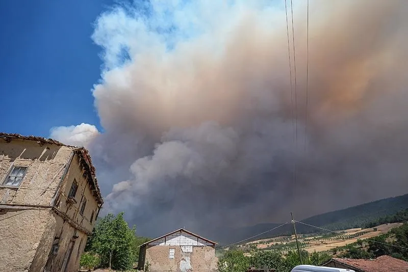 Bilecik'teki yangın (AA)