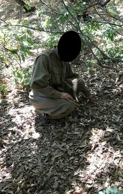 PKK'ya darbe üstüne darbe