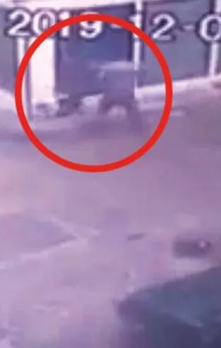 Şiddet videosuyla hayvanseverlere tuzak: Yorum yapanlara dava açıp para istiyor