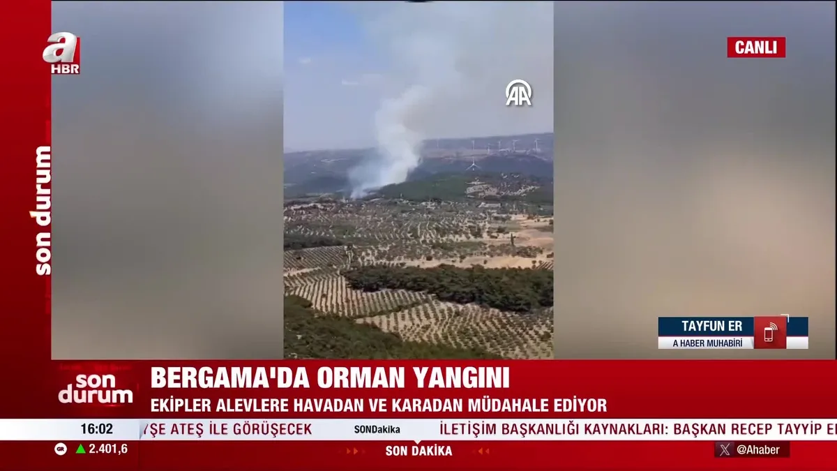 Bergama'da orman yangını!