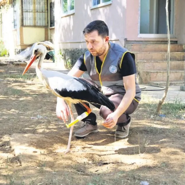 3 boyutlu yazıcıdan bacak yaptılar