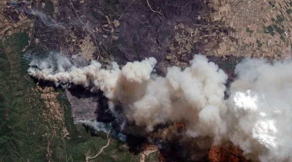 Yunanistan’ın ciğerleri yanıyor: Yüz binlerce dönüm ormanlık alan kül oldu-2