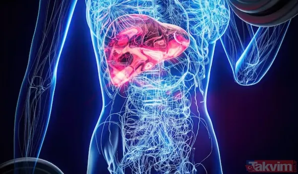 Reflü sandığı belirtiler pankreas kanseri çıktı: Teşhisten altı hafta sonra veda etti - 8