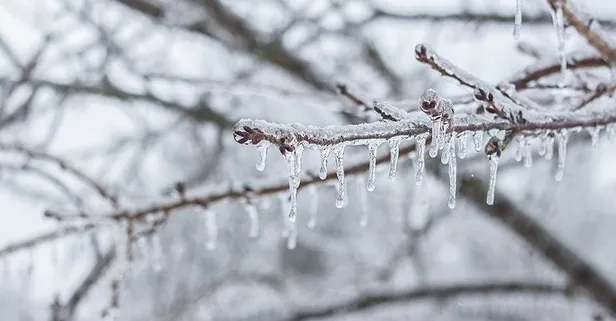 Son dakika: Meteoroloji'den 4 ile don uyarısı!