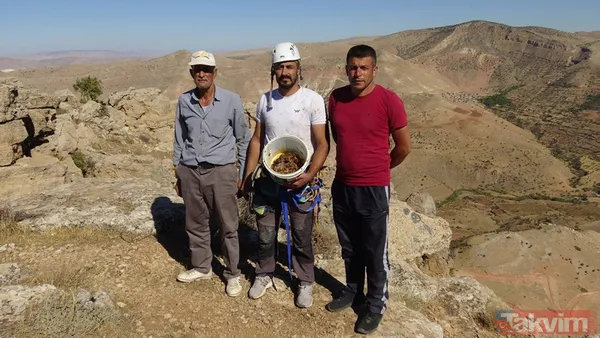 Kilogramı 500 TL! Batman'da dağlardan toplanan kaya balının sadece fazlasını satıyorlar - 18