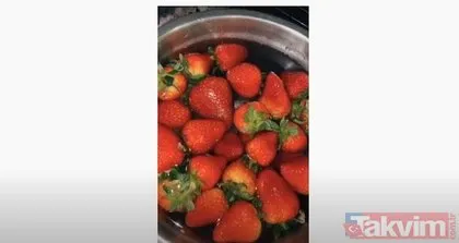 Çilek deneyi videosu doğru mu? Gerçekler ortaya çıktı! Meğer tüm dünyayı kandırmış...
