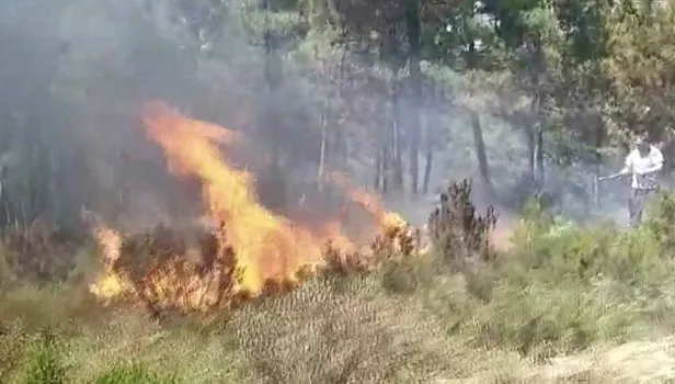 İstanbul'da korkutan orman yangını