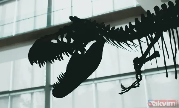 Son akşam yemeği: Bilim insanları yeni bir dinozor türü keşfetti! Meğer tam avını yerken... - 7