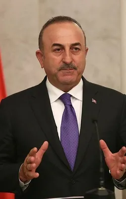 Çavuşoğlu Avusturya mevkidaşıyla görüştü