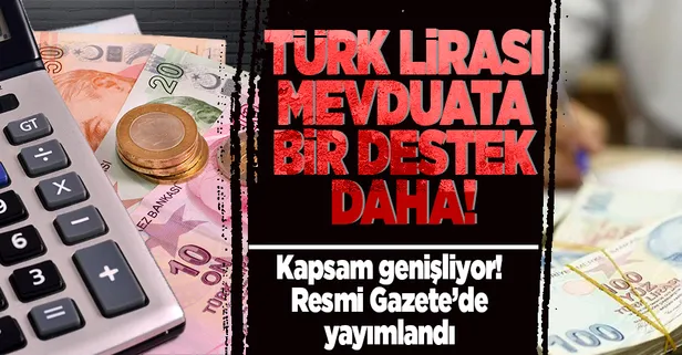 Döviz ve altın hesaplarının TL mevduata dönüşümünde değişiklik Resmi Gazete'de: Şirket ve kurumlar da kapsama alındı!