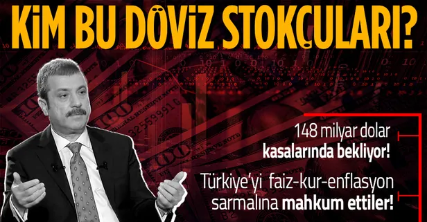 Türkiye'yi faiz-kur-enflasyon sarmalına hapseden döviz stokçuları kim? Hangi şirketler TL ile kredi çekip dolar alıyor?