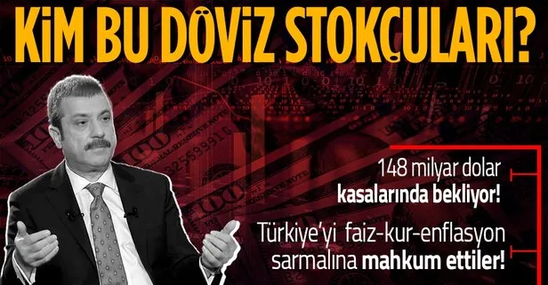 Türkiye’yi faiz-kur-enflasyon sarmalına hapseden döviz stokçuları kim? Hangi şirketler TL ile kredi çekip dolar alıyor?