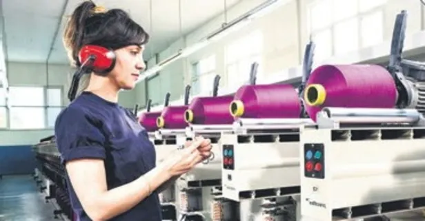 SEDDK Başkanı Davut Menteş'den "tamamlayıcı emeklilik sistemi" açıklaması