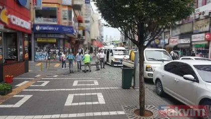 Trabzon’un en işlek caddesini ’Kakalaklar’ bastı! Görenler çığlık çığlığa kaçtı