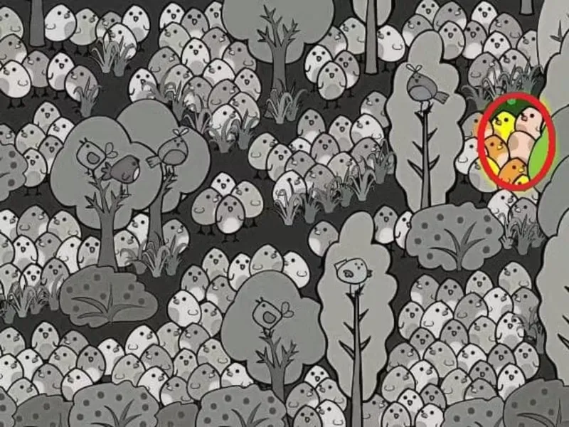 resimdeki-gizli-yumurtayi-bulabilir-misin-cok-az-kisi-sonuca-ulasti-1725628703454.jpg