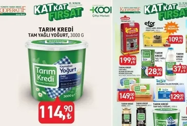 Tarım Kredi 13-19 Mayıs 2025 aktüel kataloğu | 1 alana 1 bedava + 24 üründe altın indirimler! Ayçiçek yağı, yoğurt...
