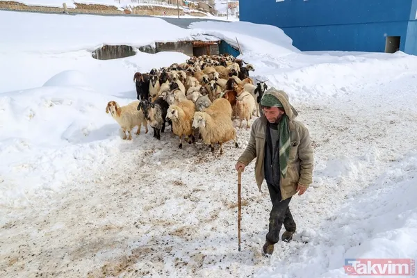 Kar kalınlığı 2 metreyi aştı! Van'ın köylerinde 'beyaz esaret' yaşanıyor - 32