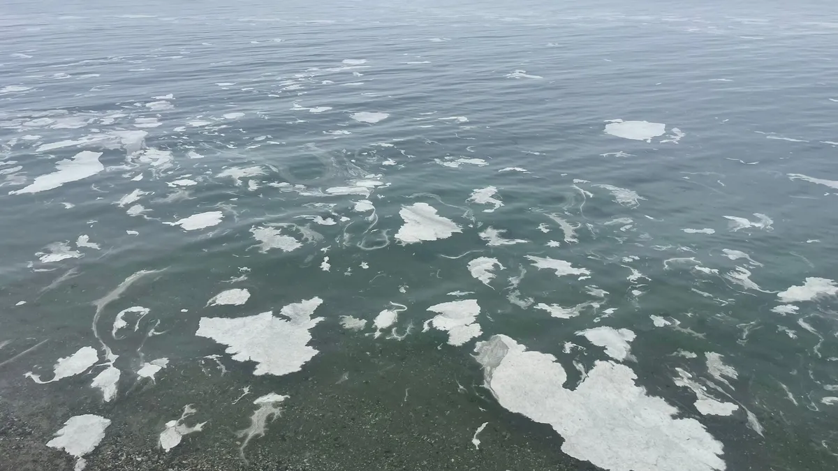 Marmara'da müsilaj alarmı! İstanbul'dan sonra şimdi de Mudanya