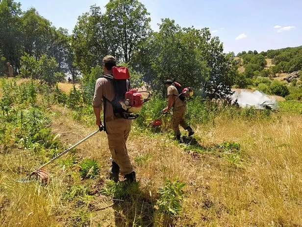 Son dakika: Diyarbakır'da uyuşturucu operasyonu: 1 ton 183 kilogram esrar ele geçirildi-3