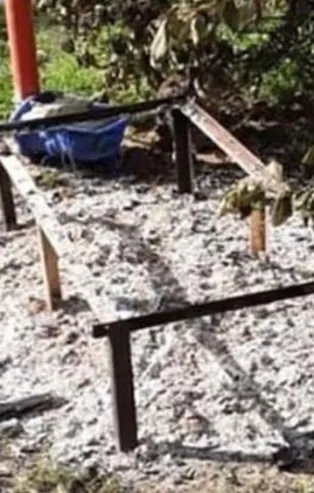 İzmir'de parkta vahşet! Diri diri yaktılar...