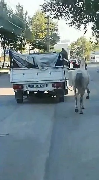 bursada-skandal-ati-kamyonetin-arkasina-baglayip-kosturdu-1598550895009.jpeg Bursa'da skandal! Atı kamyonetin arkasına bağlayıp koşturdu-2