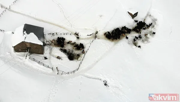 1800 rakımdaki köy kara gömüldü! 2 metre yüksekliğe çıktı - 23