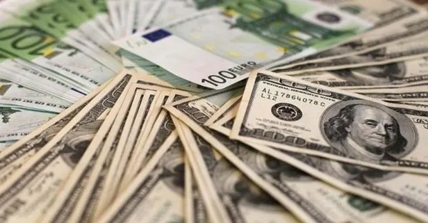 Dolar ve Euro ne kadar? 30 Mayıs 2018 Döviz kurları