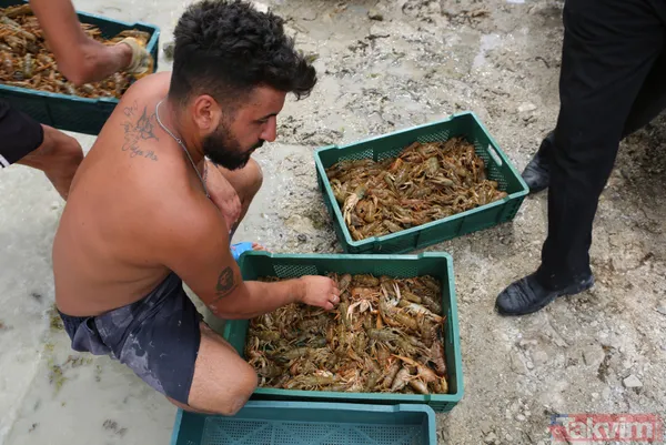 Ayda 100 bin lira kazanıyor! İşletme bitirip köyüne döndü kerevit avlayıp satıyor - 20